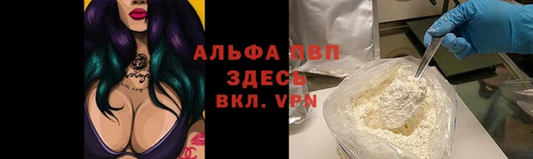 ГАЛЛЮЦИНОГЕННЫЕ ГРИБЫ Аркадак