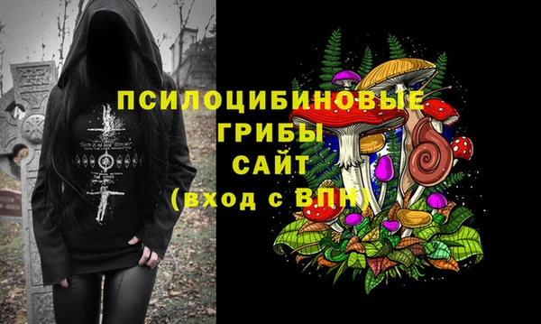 ГАЛЛЮЦИНОГЕННЫЕ ГРИБЫ Аркадак