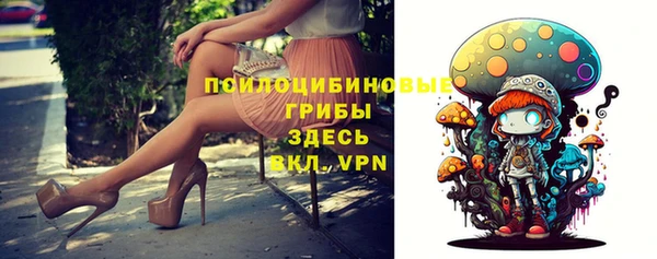 mdpv Арсеньев