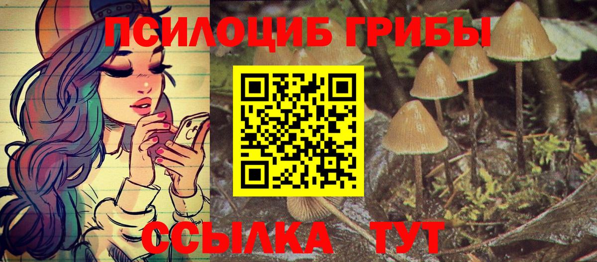Псилоцибиновые грибы MAGIC MUSHROOMS  Псилоцибиновые грибы MAGIC MUSHROOMS  Заинск  Вход с VPN 